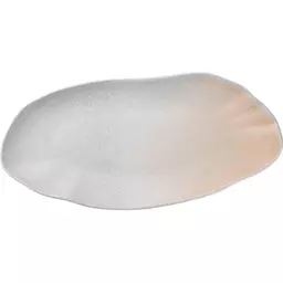 02/1177702