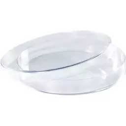 02/1199002