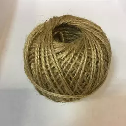 06/1294306