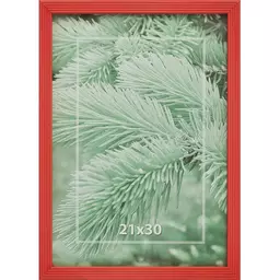 24/1190424