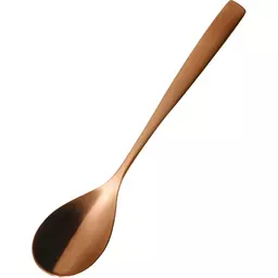 25/1120025