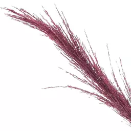 25/1198925