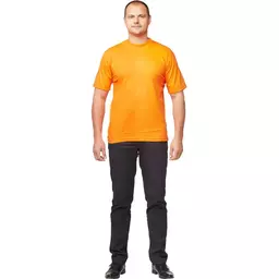 25/1275525