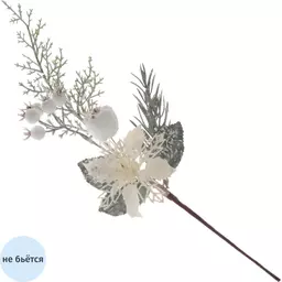 26/1303526