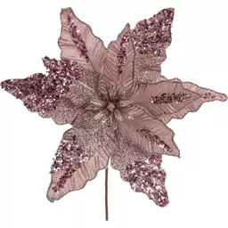 50/1169050