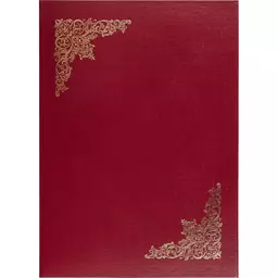 55/1310855