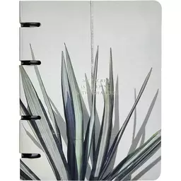 61/1296061