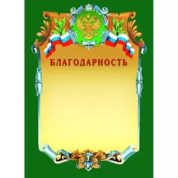81/1156281