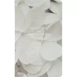 87/1216387